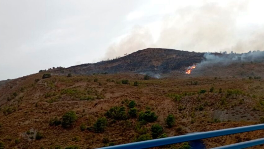 El PSOE exige a la Junta "transparencia para evitar especulaciones en la zona afectada por el incendio de Los Guájares"